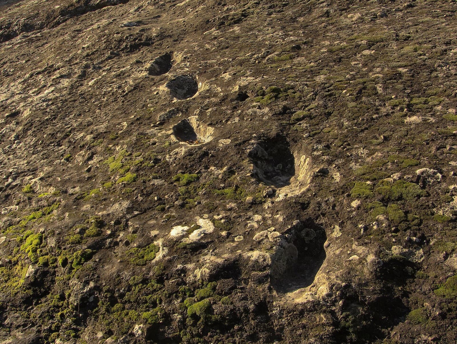 Impronte fossili nel sito delle Ciampate del Diavolo