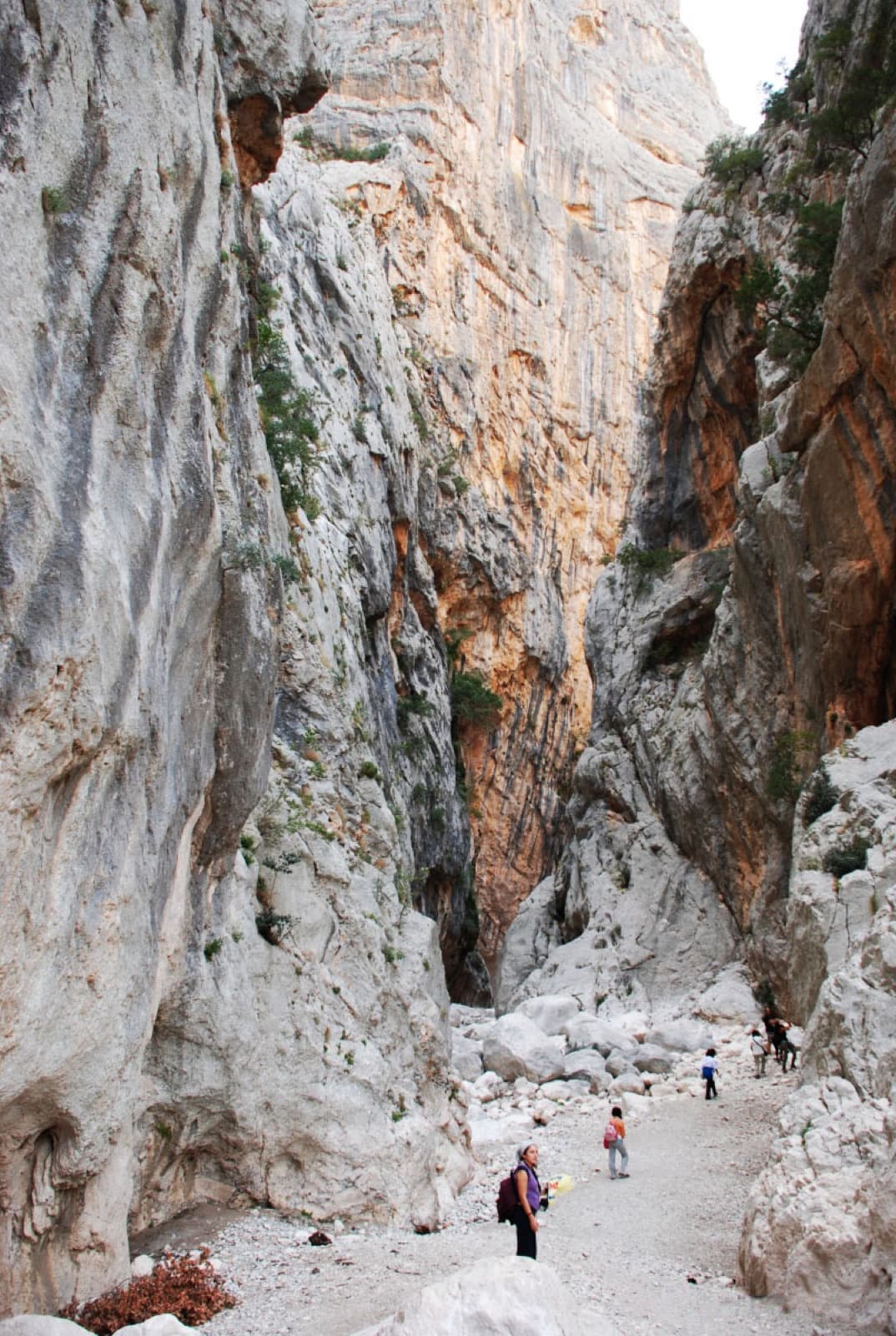 Le alte pareti rocciose all’interno della Gola di Gorropu