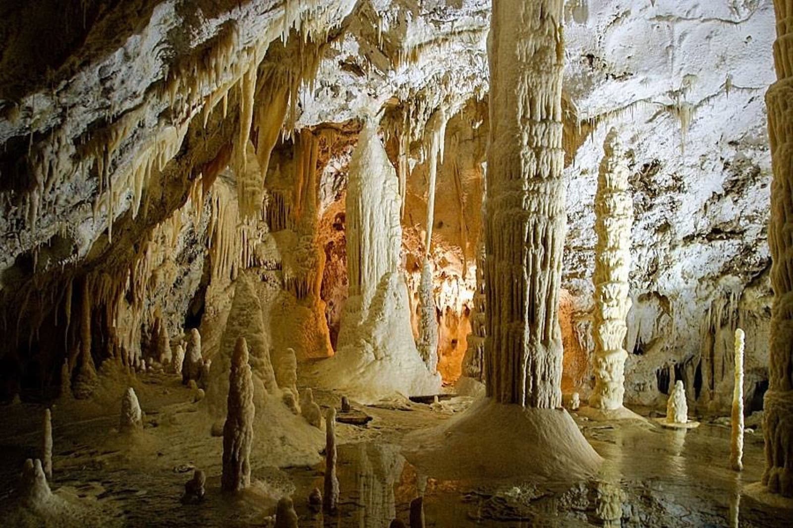 Concrezioni illuminate nelle Grotte di Frasassi
