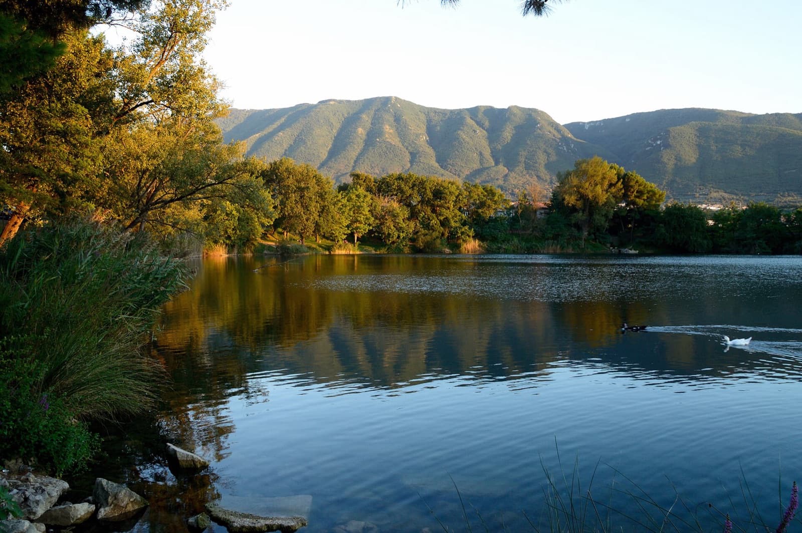Il Lago di Telese circondato dagli alberi