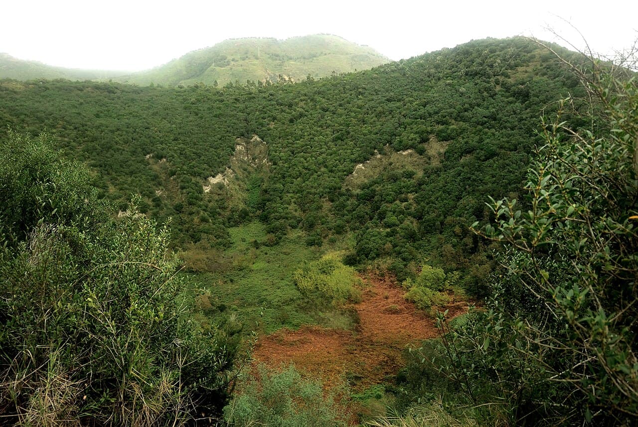 Il cratere di Monte Nuovo coperto di vegetazione