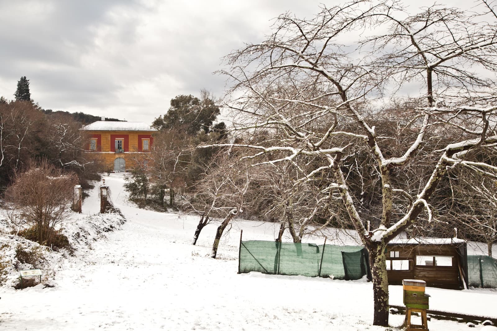 Il bosco dell’Oasi di San Silvestro in inverno