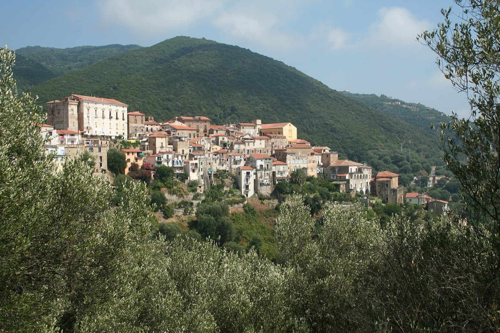 Il borgo di Pisciotta fra ulivi e mare