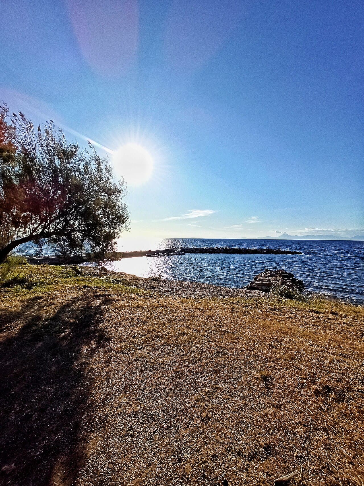 La costa di Punta Licosa con l’isolotto al largo