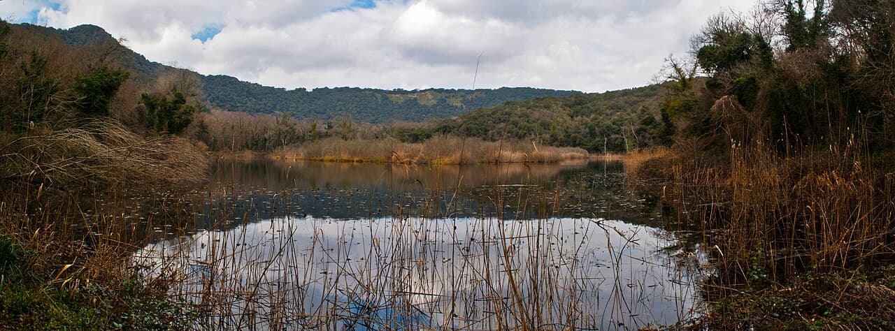 Woodland inside the Astroni volcanic crater
