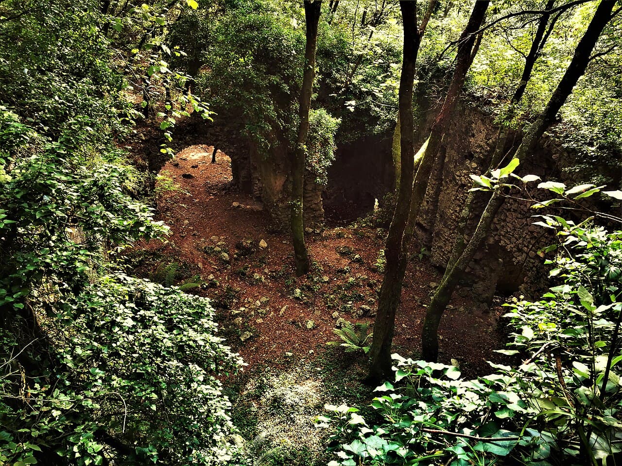 Trail and vegetation in Valle delle Ferriere